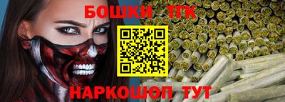 дживик Можга