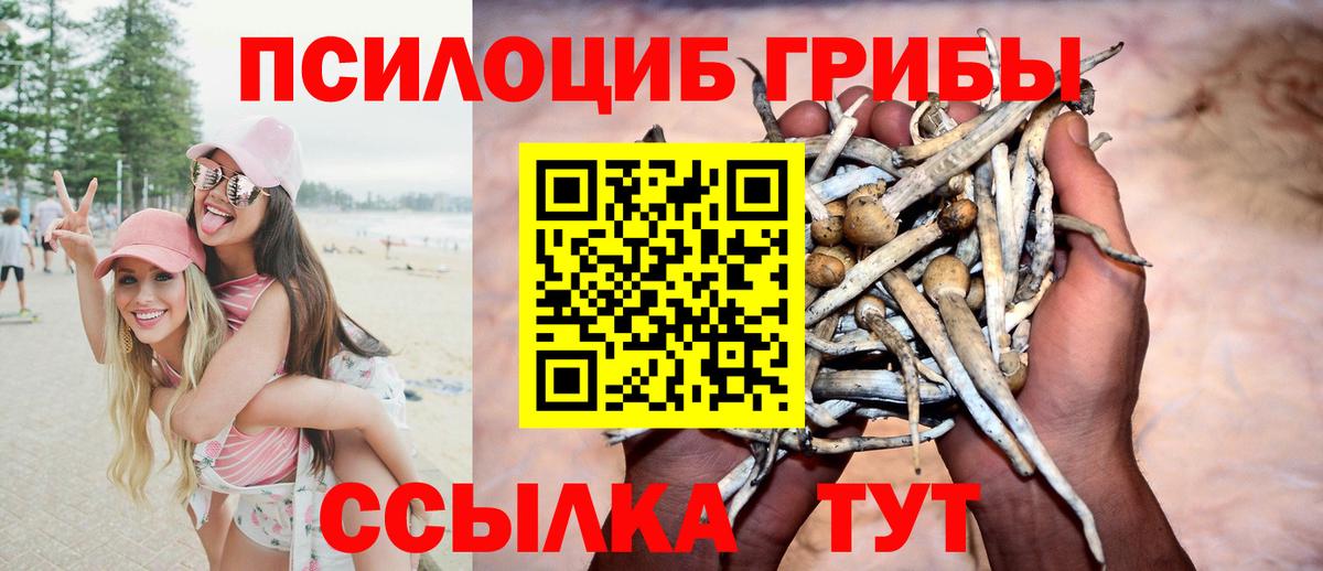 Псилоцибиновые грибы мухоморы Чехов